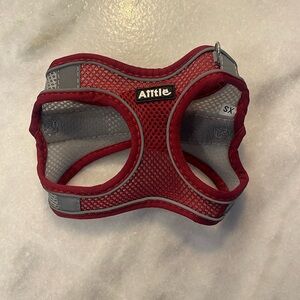XS pet harness.
